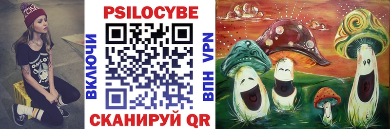 Галлюциногенные грибы Psilocybine cubensis  Александровск-Сахалинский 